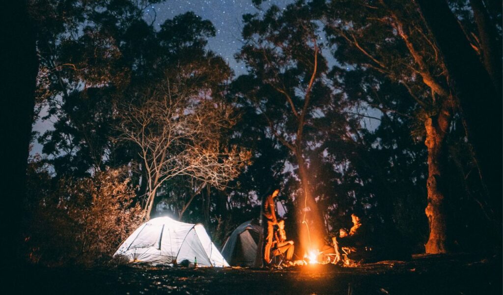 People camping in a forest at night under a starry sky, with a glowing tent and a campfire surrounded by trees in Olympic National Park.