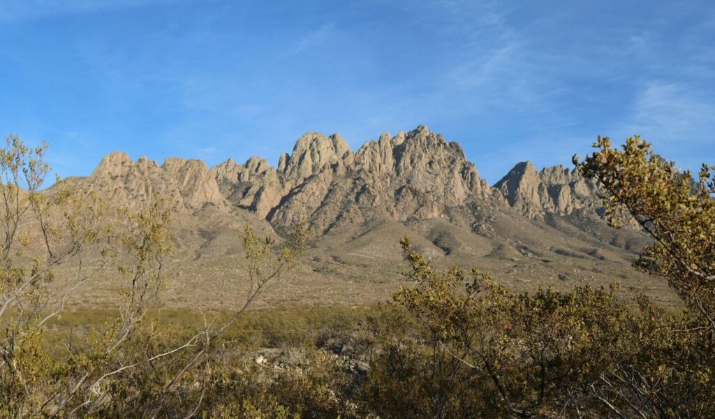 Rugged peaks of the Organ Mountains rise dramatically from the desert floor under a clear blue sky, framed by sparse desert vegetation.