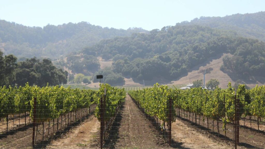 Napa Valley, California