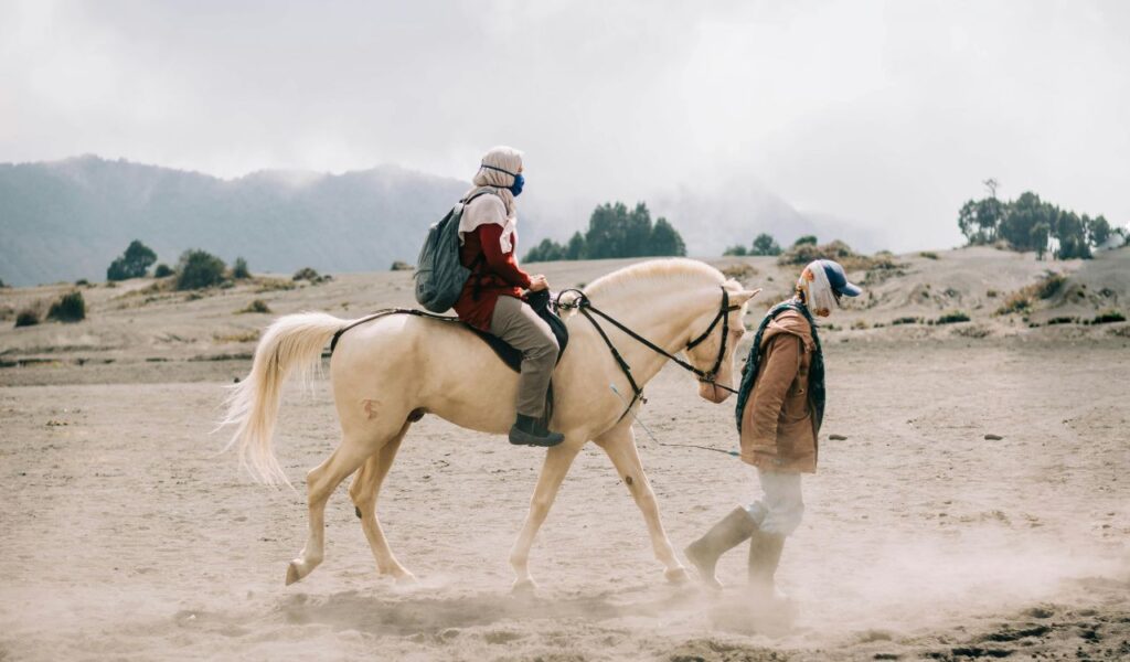 A person leads a white horse with a rider across the dusty plains of Sheldon National Wildlife Refuge in Nevada with mountains in the background.
