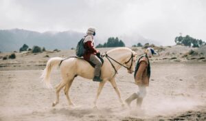 A person leads a white horse with a rider across the dusty plains of Sheldon National Wildlife Refuge in Nevada with mountains in the background.