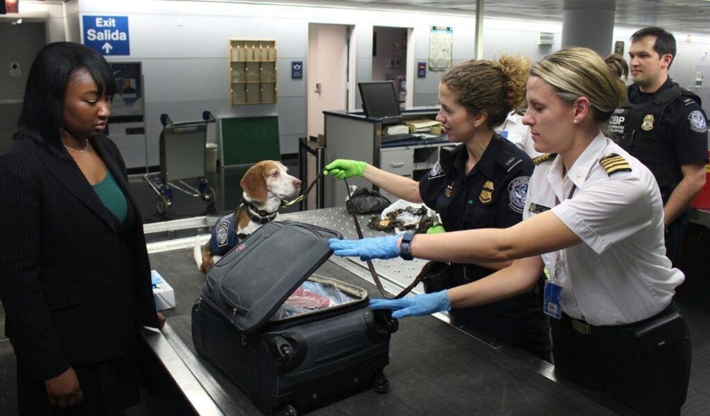 Airport security officers, assisted by a sniffer dog, inspect an open suitcase at a customs checkpoint while a passenger waits.