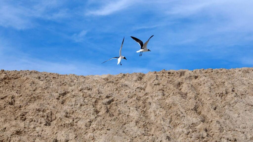 Dauphin Island, Alabama