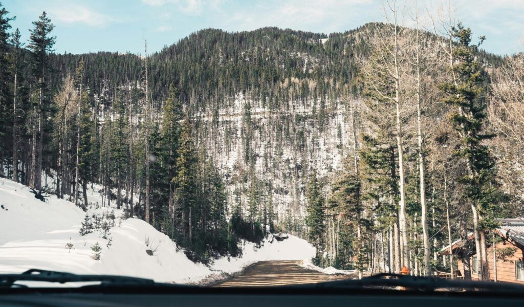 Snowy forest road near Taos, New Mexico, viewed from a car, with pine and aspen trees lining the path and a wooden cabin visible on the right.