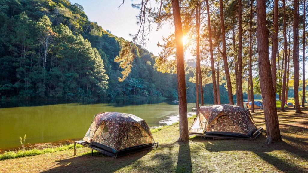 Nature Scavenger Hunt camp