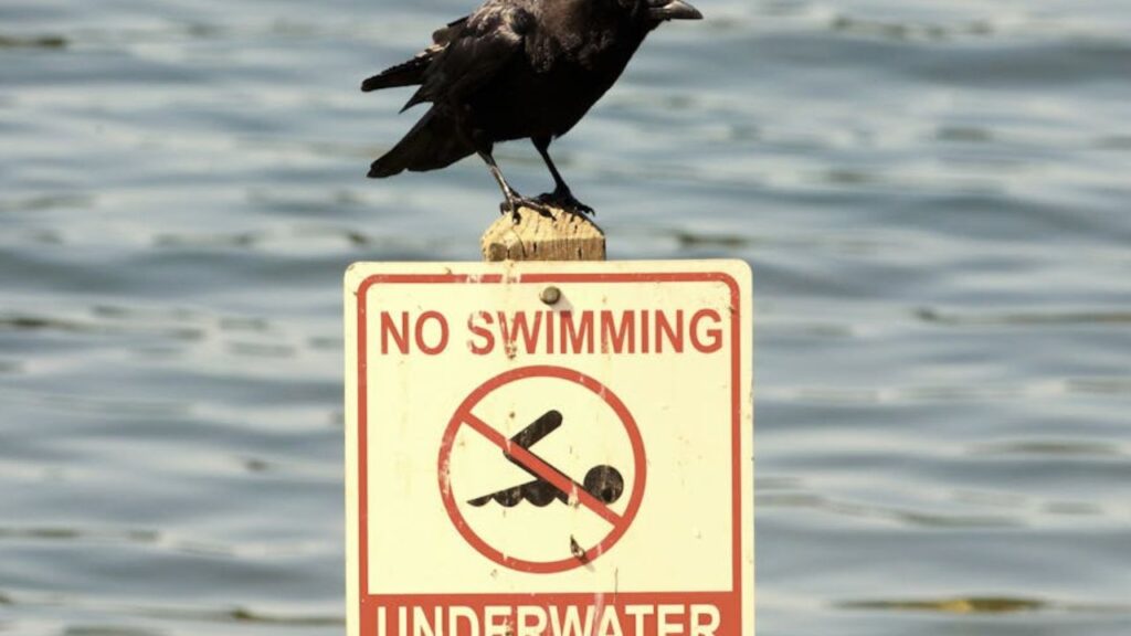 No Swimming Or Soaking, Anywhere