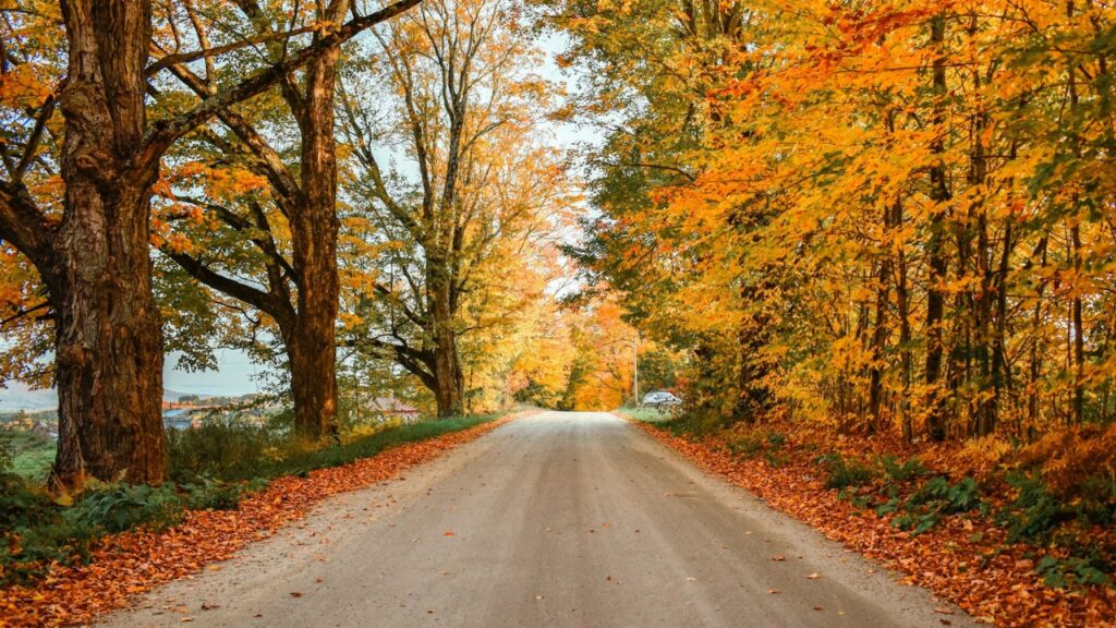 Vermont Fall