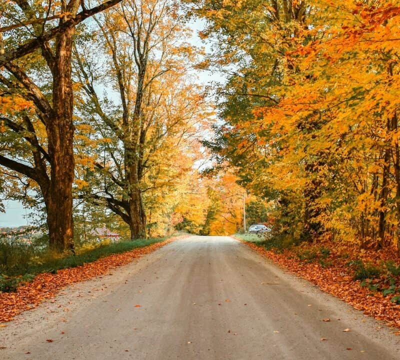 Vermont Fall