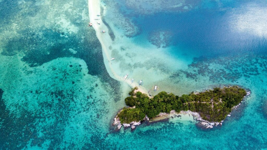 The snake island,which is also known as Ilha da Queimada Grande, is an island off the coast of Brazil. This island is full of venomous snakes. 