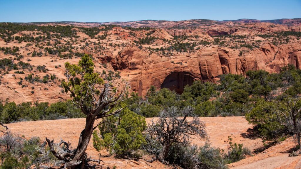 Navajo National Monument preserves the Betatakin ruins in a massive alcove in this part of the Navajo Nation in northern Arizona, USA.