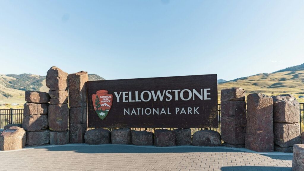 Yellowstone visitor center display
