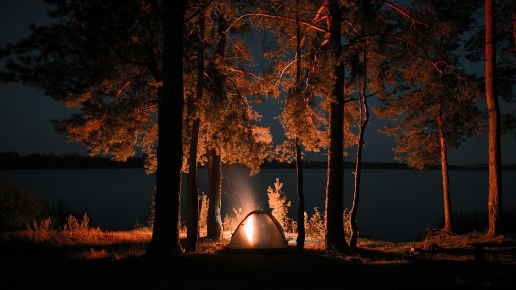 Forest Camping