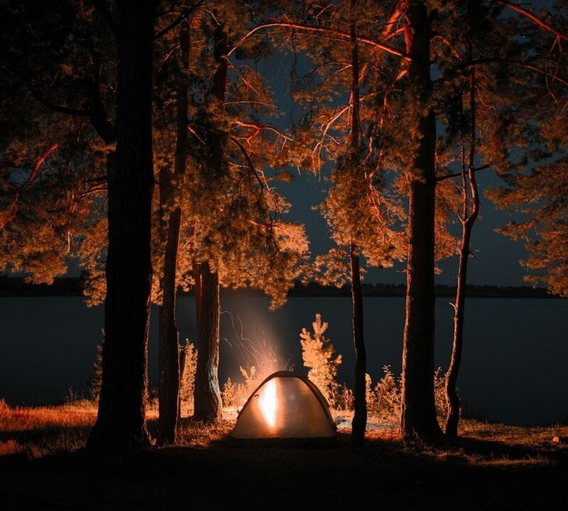 Forest Camping