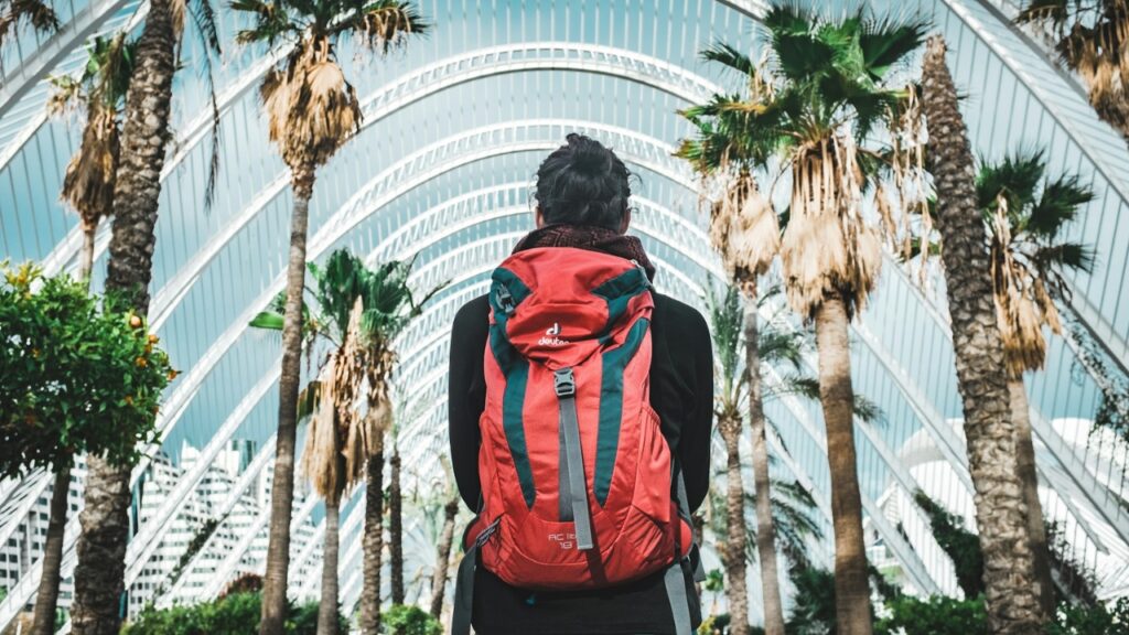 Travel Backpack