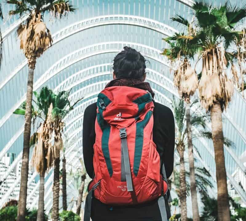 Travel Backpack