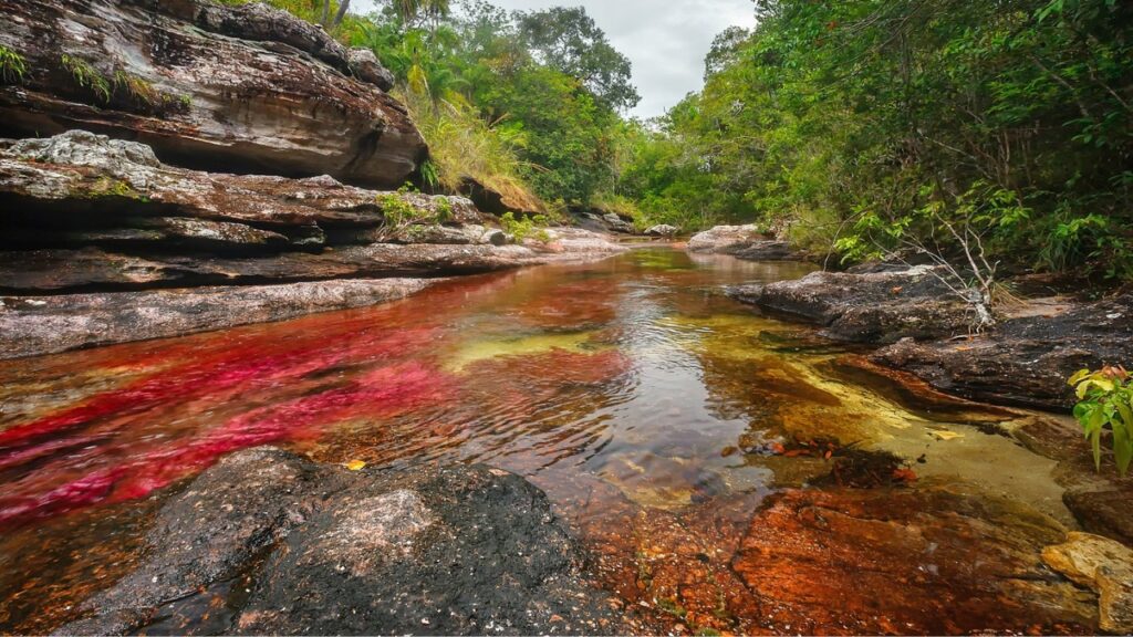 Caño Cristales, Colombia