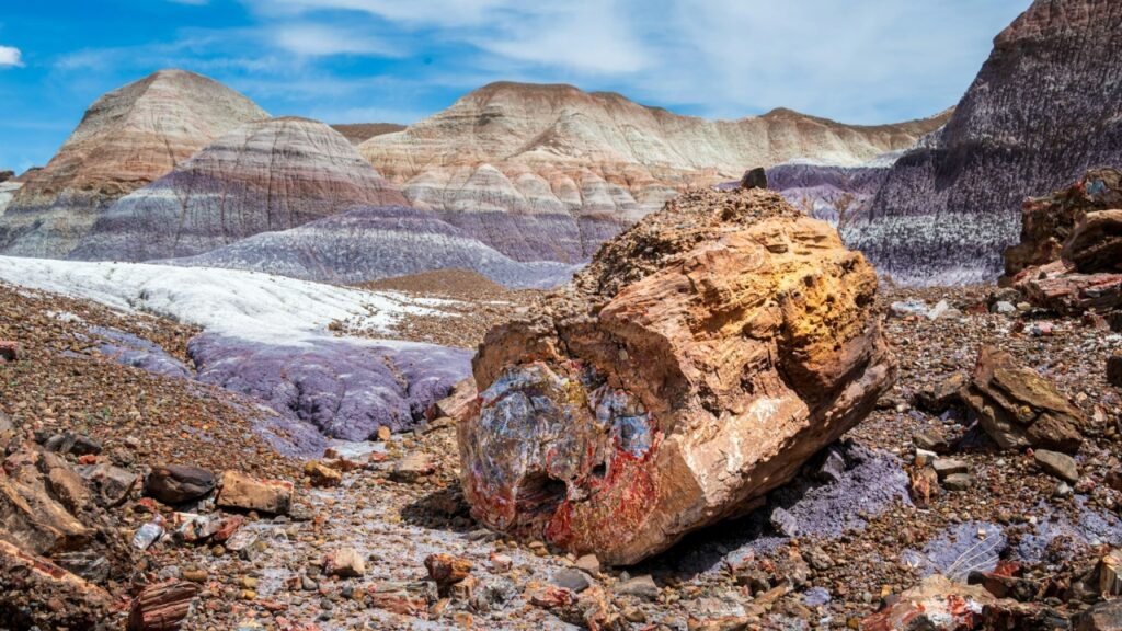 Petrified Forest National Park