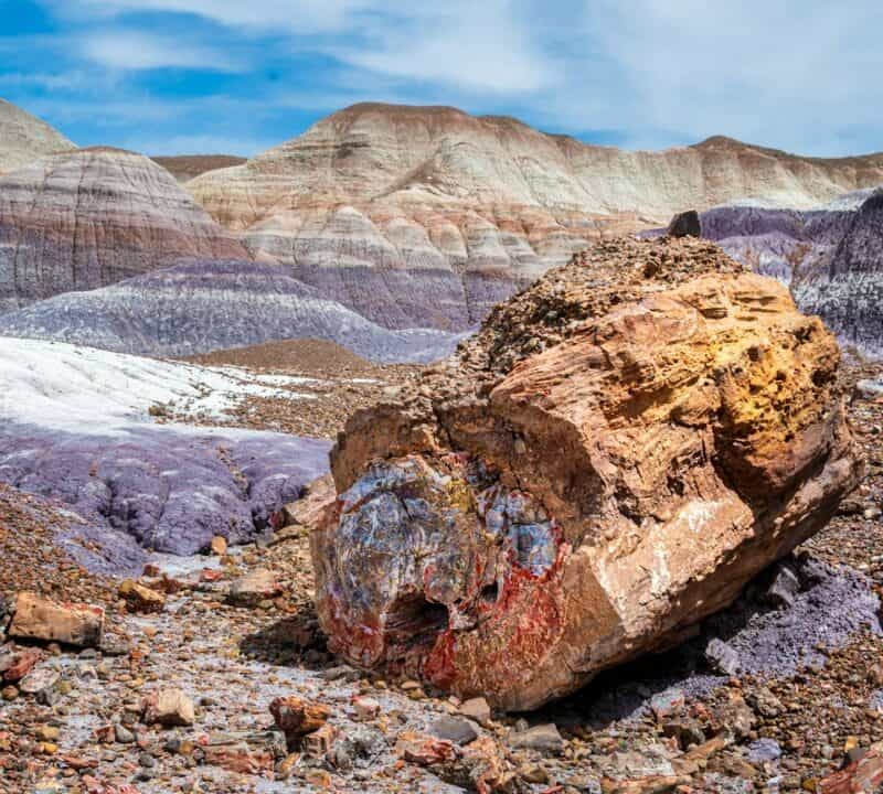 Petrified Forest National Park