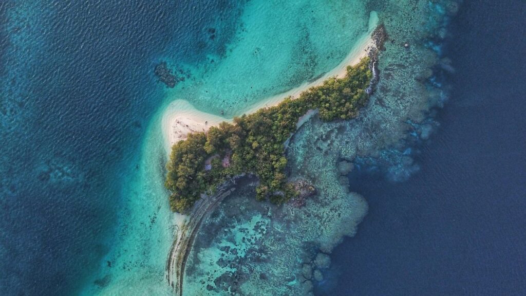 The Solomon Islands