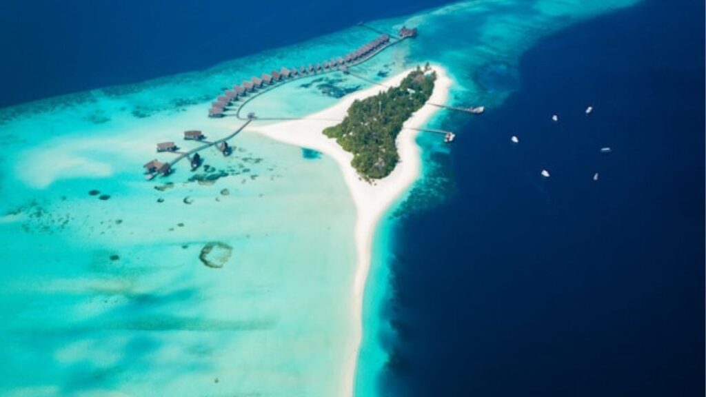 The Maldives