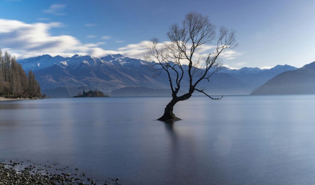 A lone tree stands partially submerged in the still waters of Lake Wanaka, New Zealand, with snow-capped mountains and a cloudy blue sky in the background.