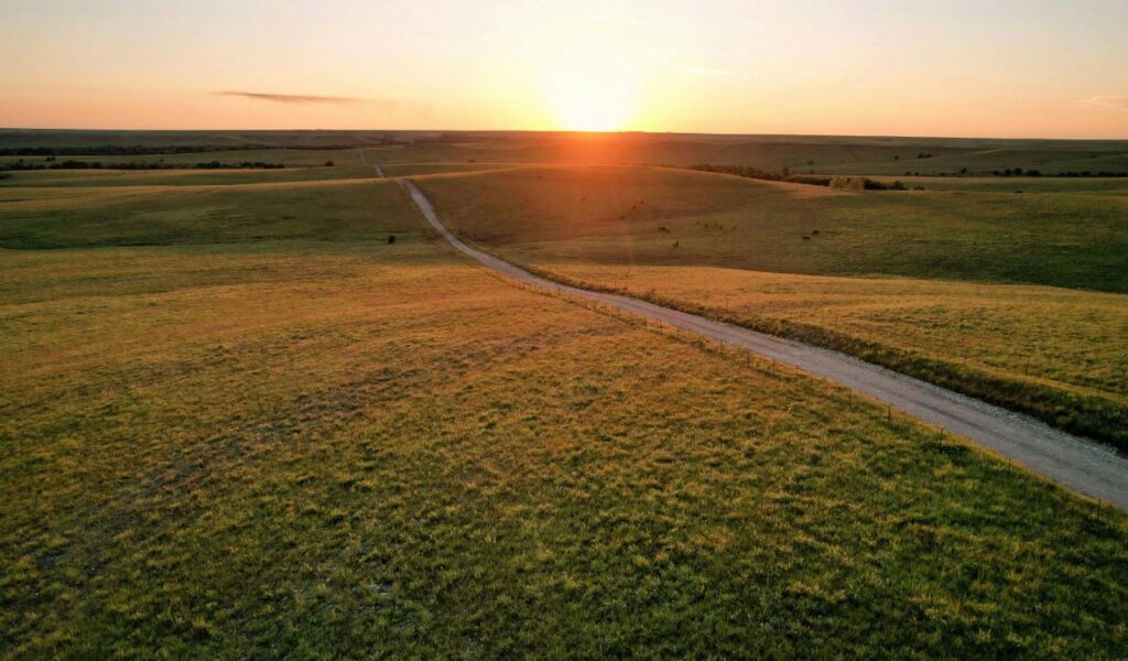 A dirt road winding through wide open grassy plains at sunset in Abilene, Kansas.