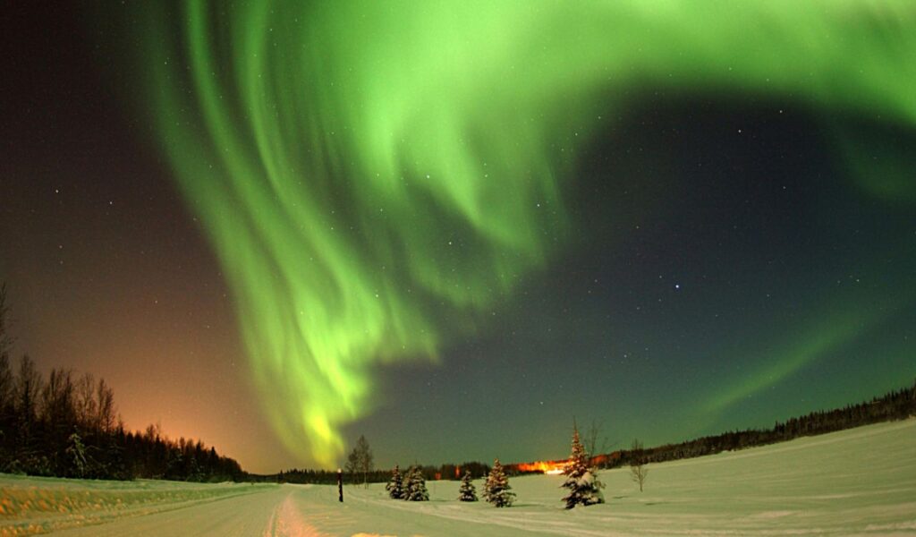 Vivid green aurora borealis dances across the night sky above a snowy Alaskan landscape, with silhouetted trees and distant lights on the horizon.