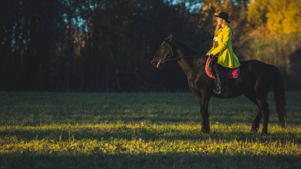 Horseback Ride 