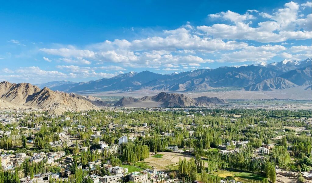 A panoramic view of Leh, Ladakh with scattered buildings and lush green poplar trees, surrounded by arid brown mountains and distant snow-capped peaks under a bright blue sky with scattered clouds.