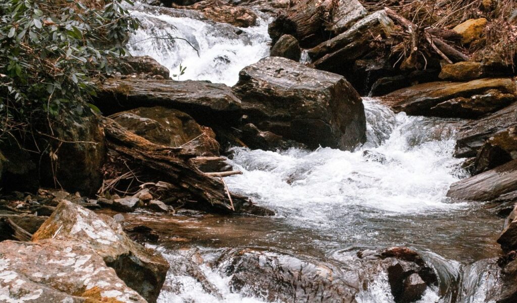 Close-up view of Anna Ruby Falls in Georgia, with clear water cascading over dark rocks and surrounded by lush greenery.