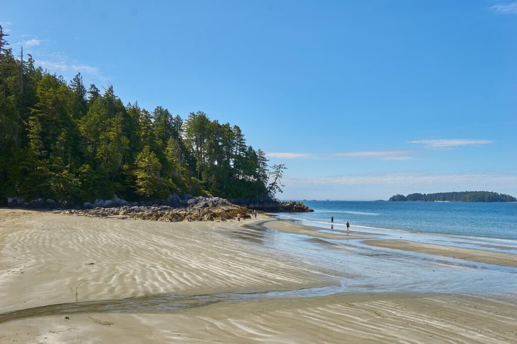 Tofino surfers Long Beach Pacific mist kayaks hot springs