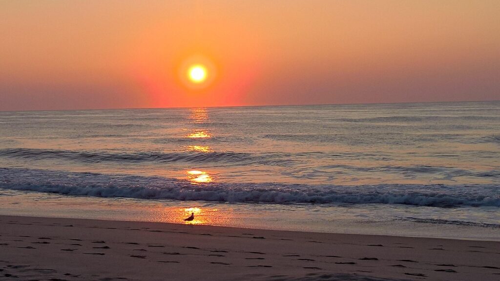 Maryland: Ocean City To Assateague