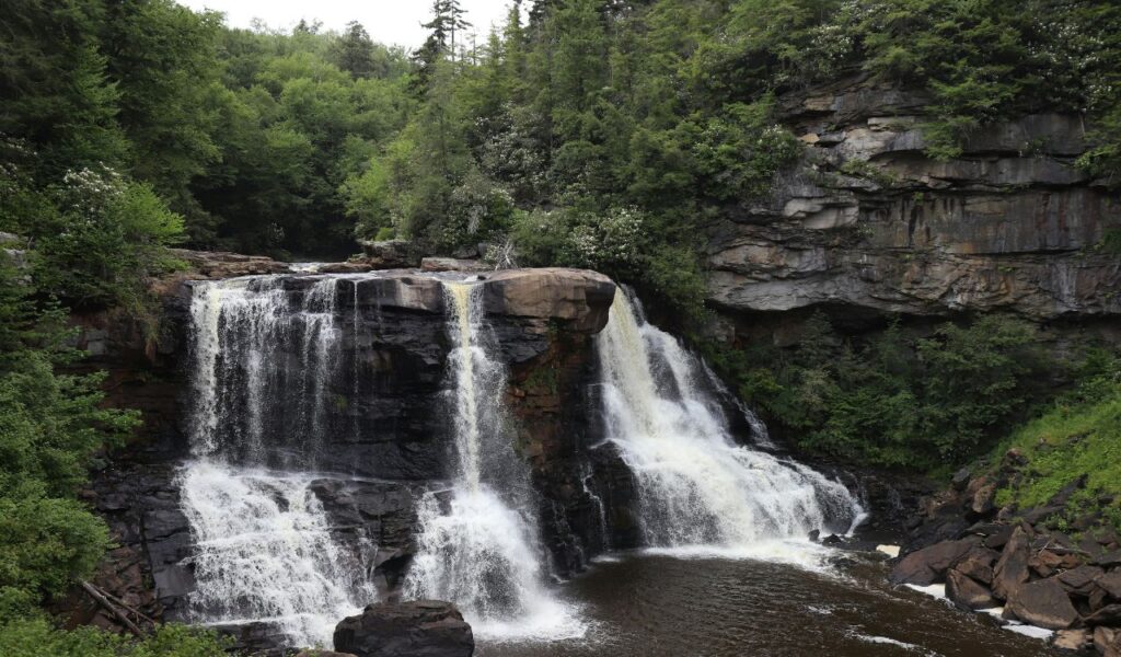A powerful amber-tinted waterfall cascades over dark rock cliffs surrounded by lush green forest at Blackwater Falls State Park in West Virginia.