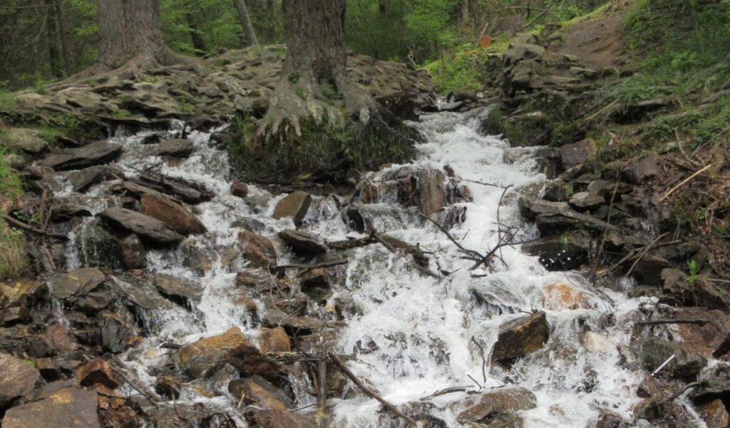 A small rocky stream cascades through a forest at Caledonia State Park in Pennsylvania, surrounded by moss-covered stones and tall trees.