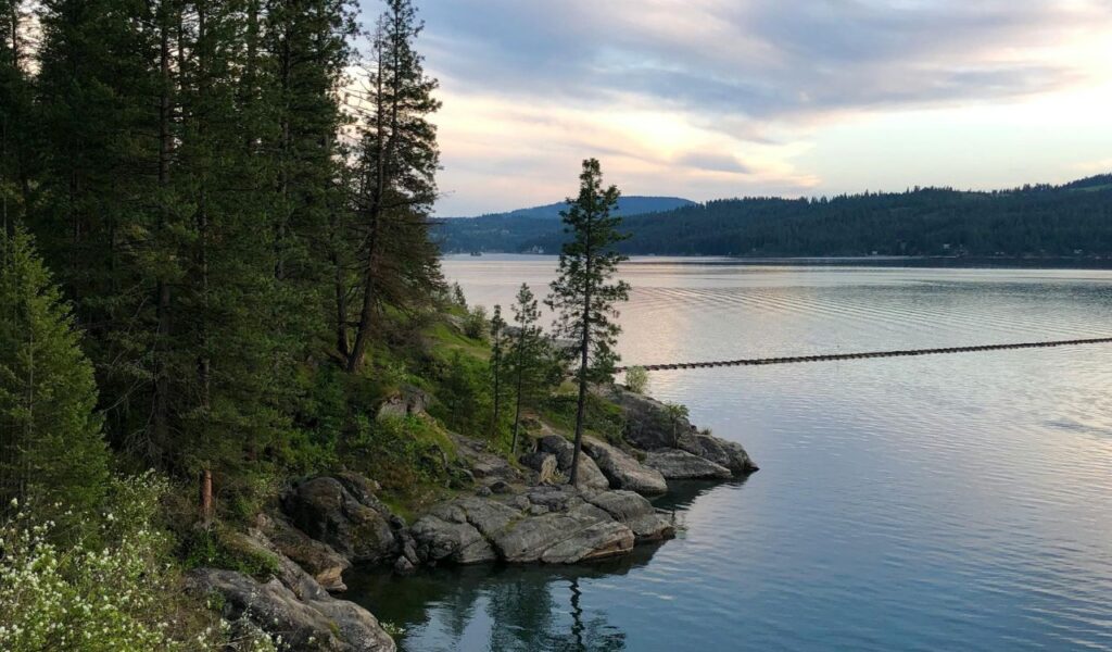 Rocky shoreline with evergreen trees along Lake Coeur d’Alene, Idaho, with calm water reflecting a pastel evening sky