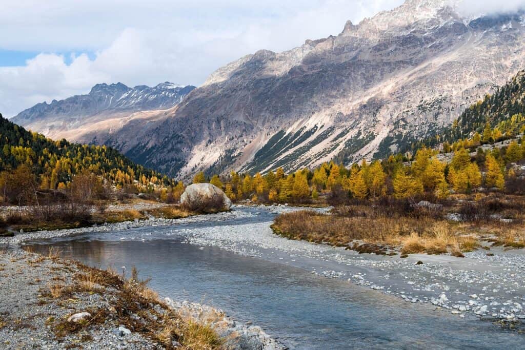 Larch Valley fall colors Banff