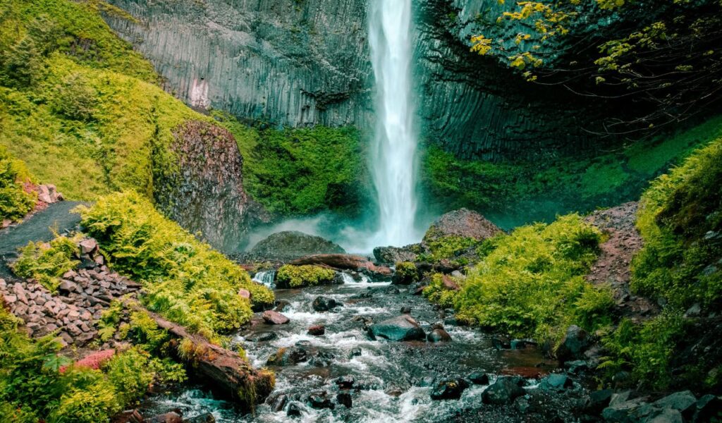 Tall, narrow waterfall at Fall Branch Falls plunging from a cliff into a rocky stream, surrounded by lush green moss and vegetation.