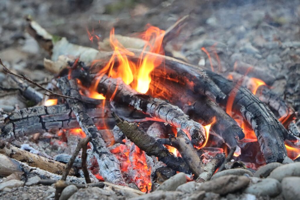 Firewood