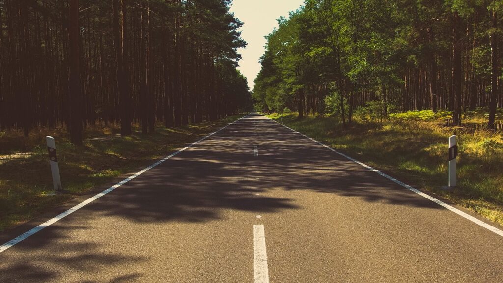 Forest Road 10, West Virginia