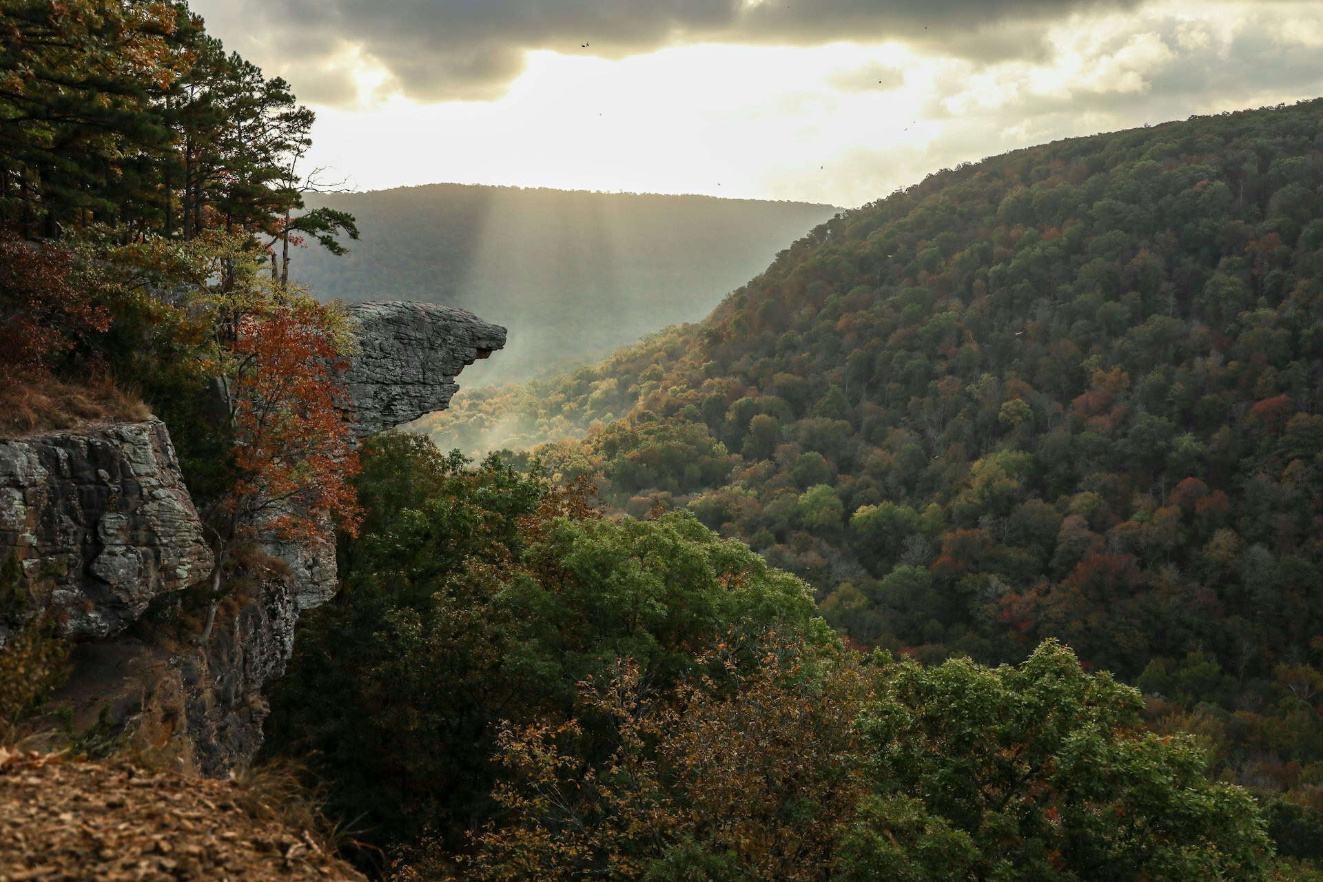 Arkansas: Hawksbill Crag, Ozark Highlands