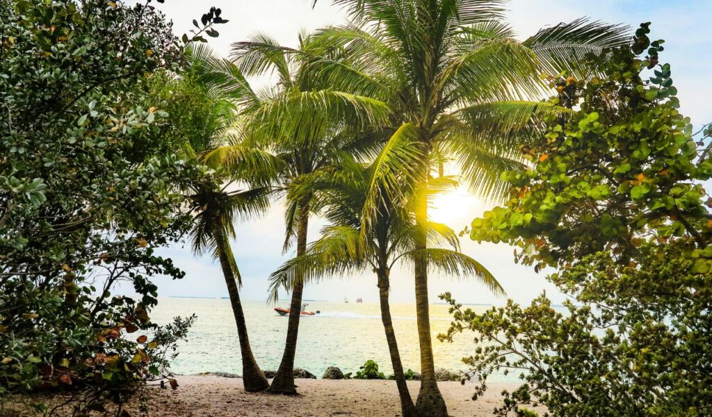 Palm trees framing a view of the ocean at Key West, Florida, with the sun shining through and boats sailing in the distance.