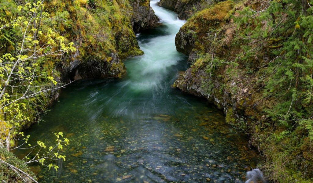 Clear turquoise water of Little River flows through a narrow rocky gorge, surrounded by moss-covered cliffs and lush green trees.