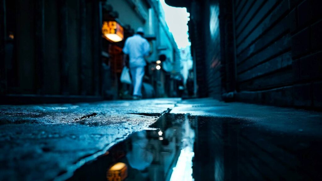 Japan Puddle