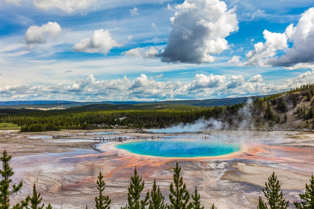 Yellowstone hot spring runoff channel