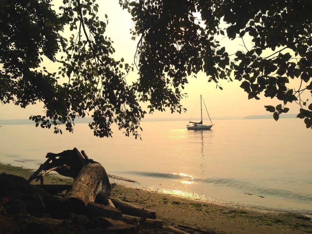 Pacific northwest, Driftwood, Sailboat image.