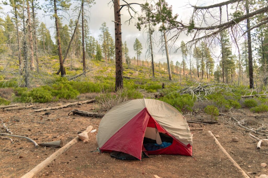 dispersed camping National Forest 14 day limit