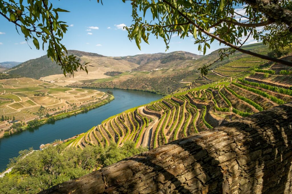 Douro Valley vineyard riverboat sunset