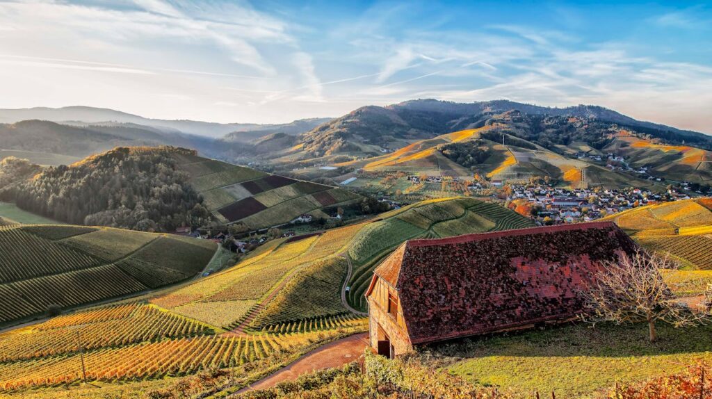 Tuscany Or Umbria Farm Stay