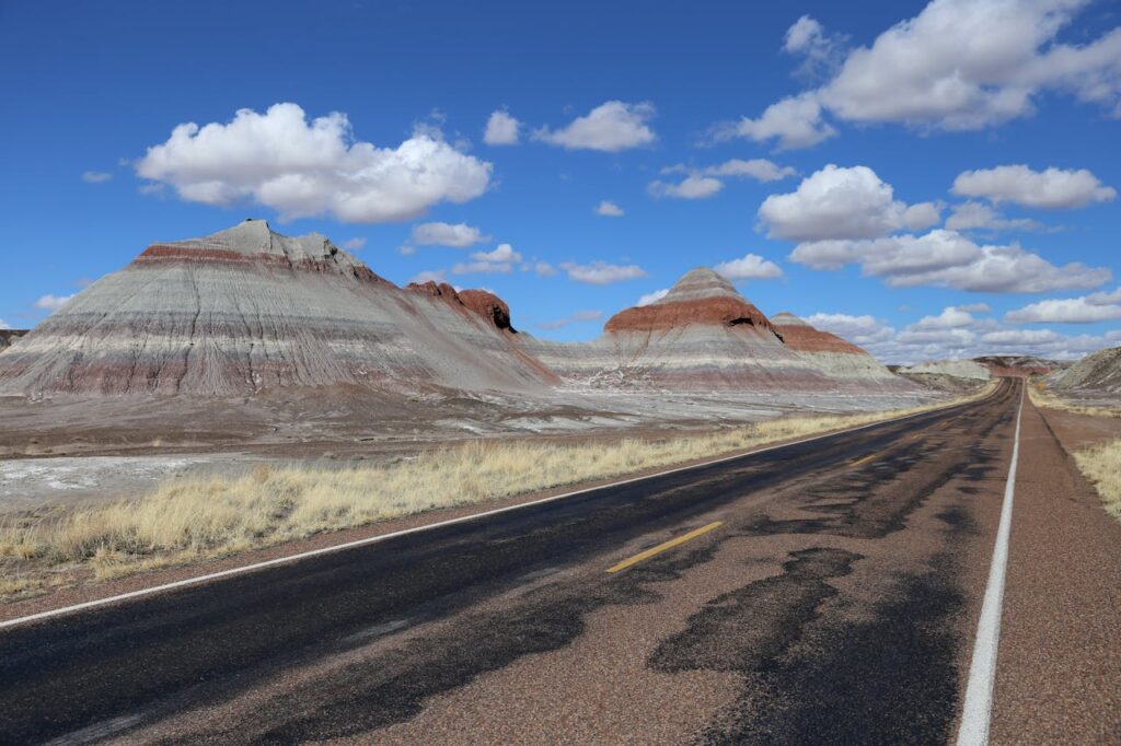 Petrified Forest National Park