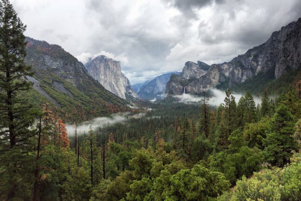 Yosemite National Park, California